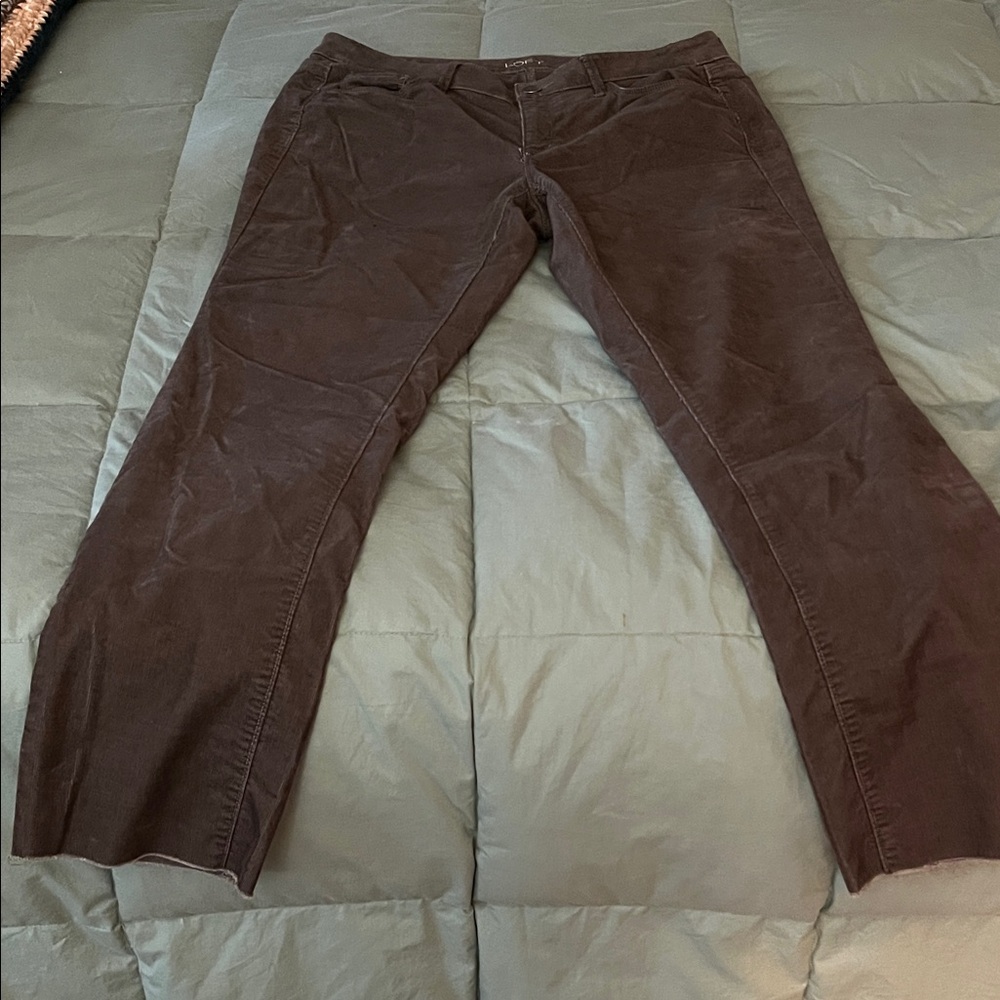Loft Women's Brown cords